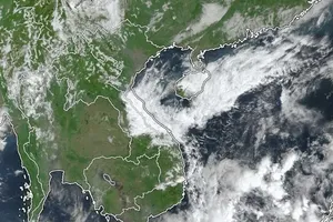 Satellite images specifically capturing clouds at 9:00 a.m. on January 15